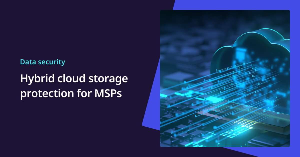 Hybrid Cloud Storage Protection for MSPs